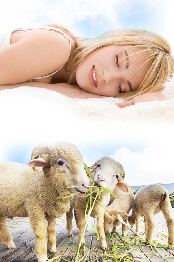 herma-kasmir-merino-sw